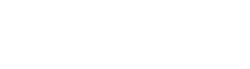 WASP Logo